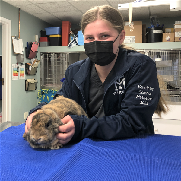  A student wearing a mask smiles into the camera while holding a rabbit on an exam table 